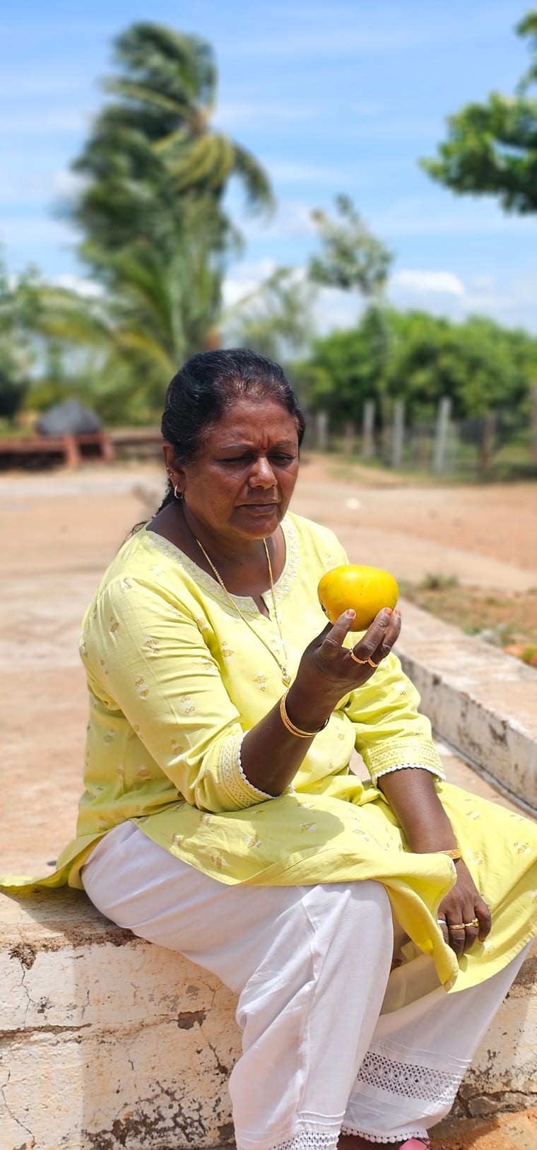 A farmer at Vathiyar Thottam smiling and holding a freshly picked ripe mango