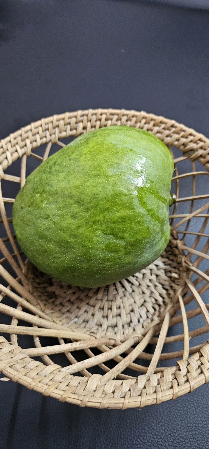 Malgova mangoes from Vathiyar Thottam, Muthanampatti