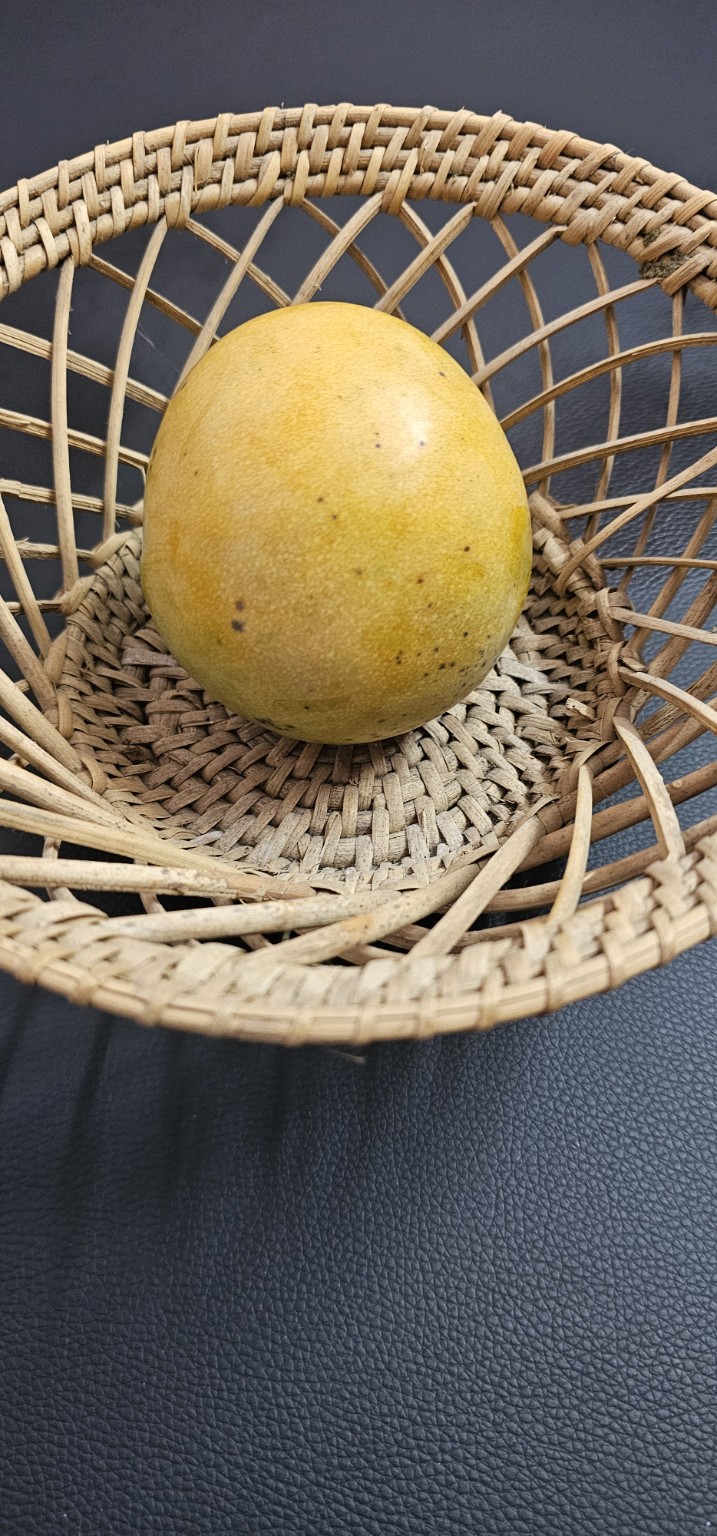 Rumani mangoes from Vathiyar Thottam, Muthanampatti